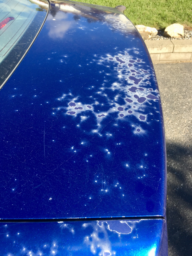 Illustration for article titled Honda Fuji blue, worse and worser.